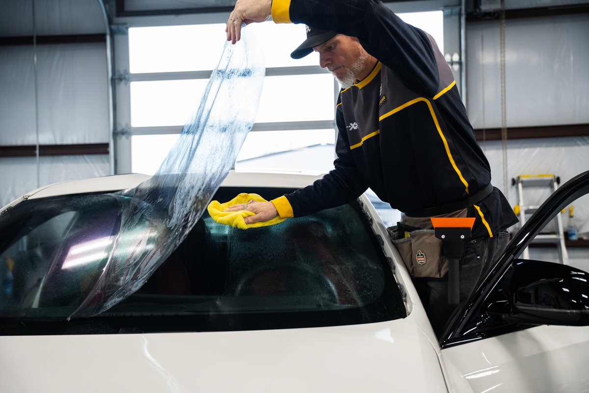 BMW window tint detail